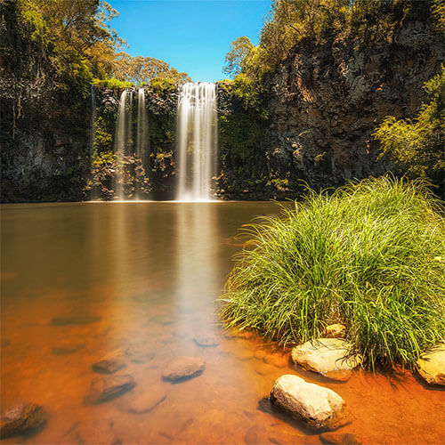 New South Wales Dangar Falls in the Rainforest of Dorrigo National Park