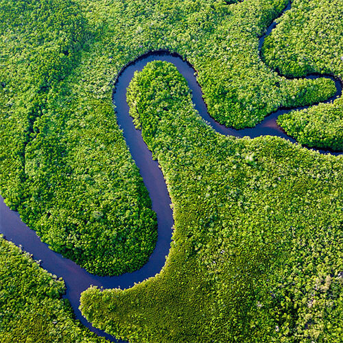 Queensland Daintree River