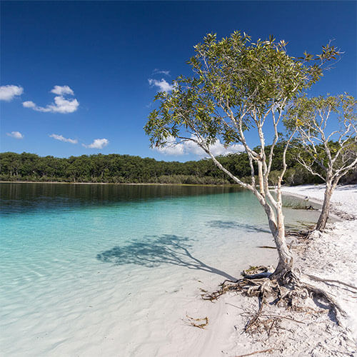 Queensland Lake McKenzie