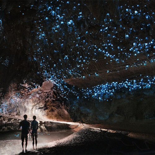 Neuseeland Nordinsel Waipu cave