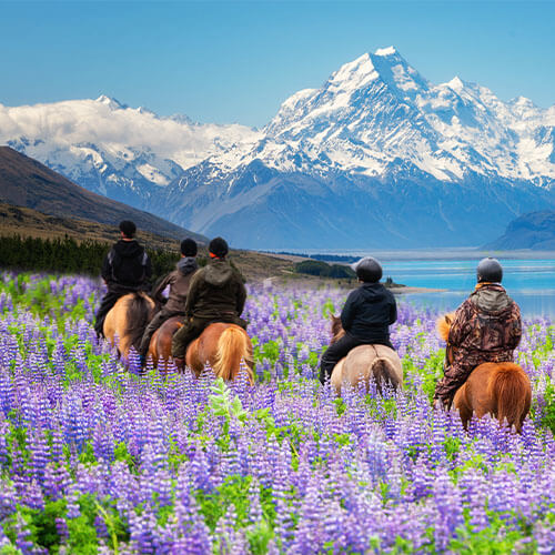 Neuseeland Südinsel Mount Cook