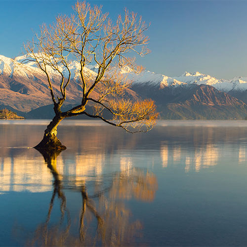 Neuseeland Südinsel lake Wanaka