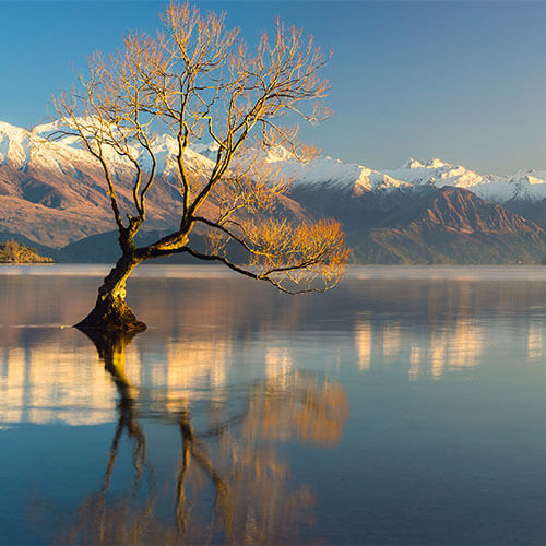 Neuseeland Südinsel lake Wanaka