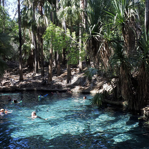 Nothern Territory Mataranka hot pools