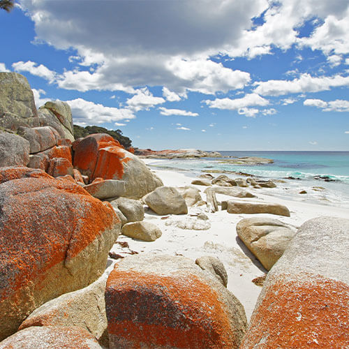 Tasmanien Bay of fire