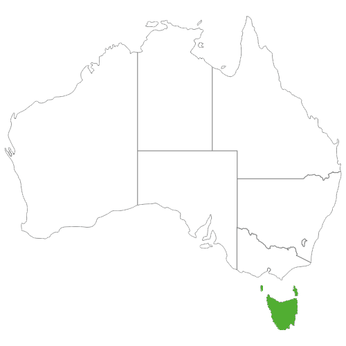 Tasmanien Karte Australien