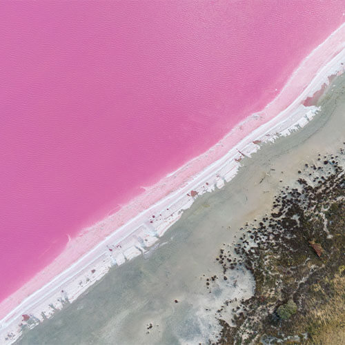 Victoria pink salt lake