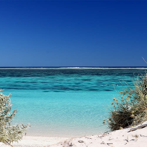 Western Australia Nigaloo Reef