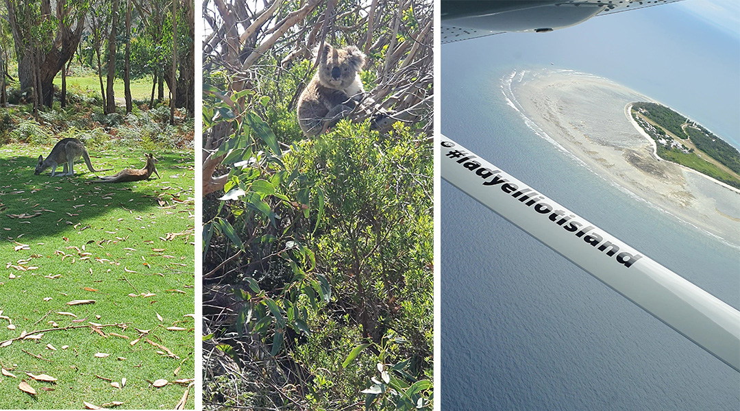 Boberschmidt_Collage Tiere + Lady Elliot Kundenstimme Julia und Stefan