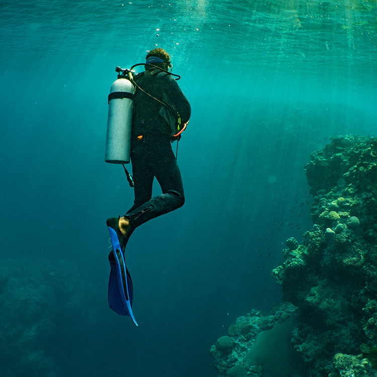 Fiji diver