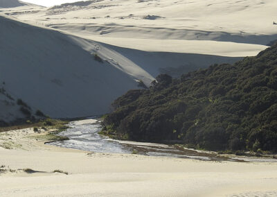 2 Wochen Neuseeland – November 2023