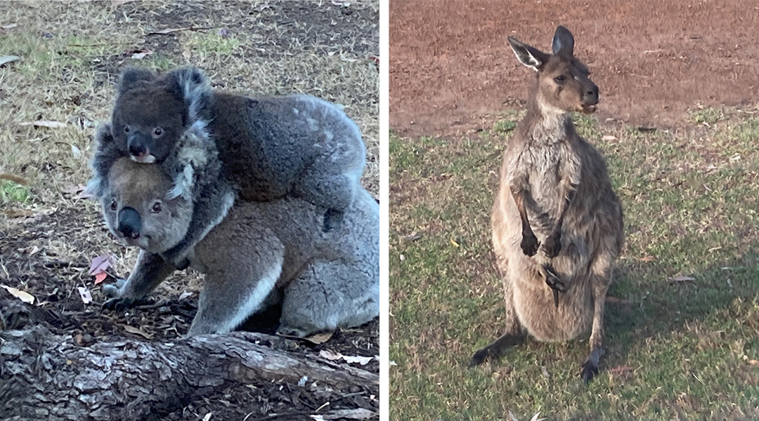 Schneider_Collage 2 Kundenstimme Sarah und Tobias S