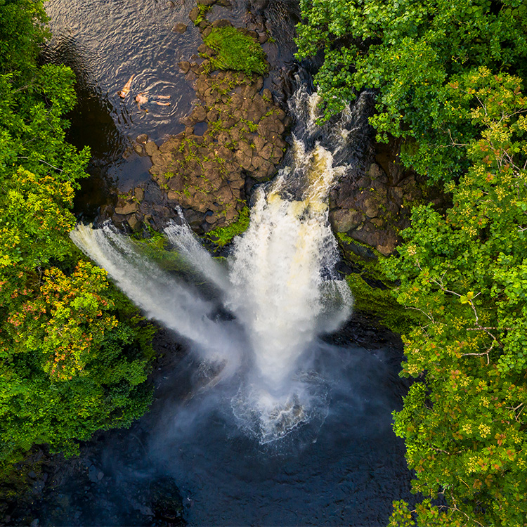 Samoa swimming in  waterfall
